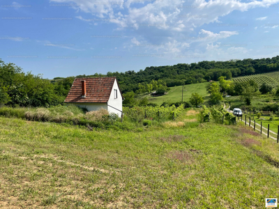 Eladó tanya - Szekszárd, Szalaivölgy