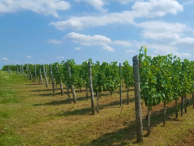 Eladó termőföld, szántó - Bátaszék, Tolna megye