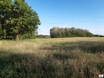 Eladó termőföld, szántó - Debrecen, Nagycsere