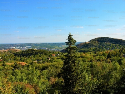 Eladó üdülőövezeti telek - Budaörs, Frankhegy