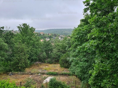 Eladó üdülőövezeti telek - Érd, Parkváros