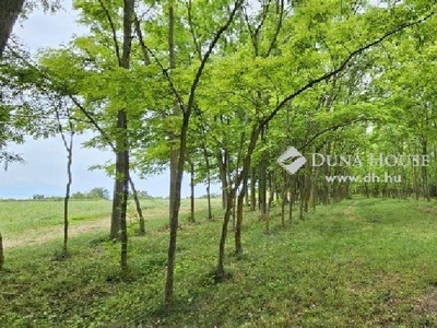 Balatonkenese, ingatlan, telek, 27.500.000 Ft