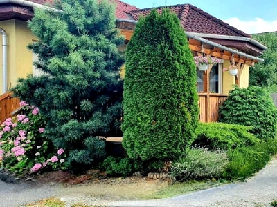 Berekalja, Miskolc, ingatlan, ház, 124 m2, 59.990.000 Ft