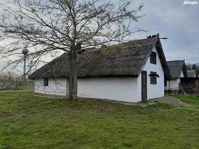 Pince,hétvégi ház - Buzsák, Somogy - Szőlőskert-pince