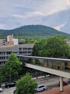 Kiadó felújított lakás - Budapest II. kerület