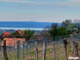 Kőröshegyi panorámás zártkerti dupla telek eladó