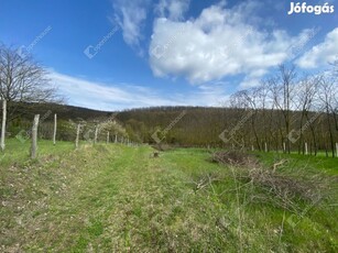 Tényő, eladó telek