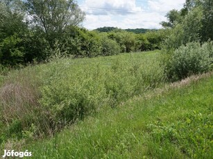 Zalaegerszeg forgalmas út menti terület