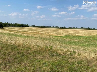 Mezőörs-Mindszentpusztán megvételre kínálunk 5 db építési telket.