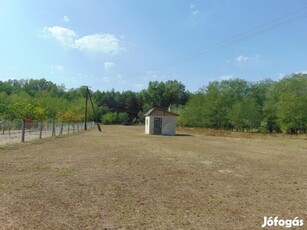 Albertirsa, 1798 m2-es Szántó besorolású telek eladó!, 1799 m2-es,