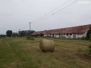 Csöglén 9,8 ha-os terület épületekkel eladó!