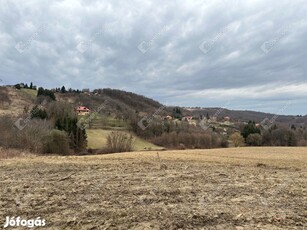 Dobronhegyen az Ady utcában 9208m2 mezőgazdasági terület eladó!