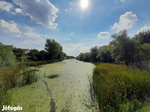 Dömsöd, Duna-parthoz közeli út, 254 m2-es, telek