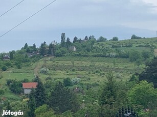 Eger Szépasszonyvölgyben 2950m2-es külterületi telek eladó!