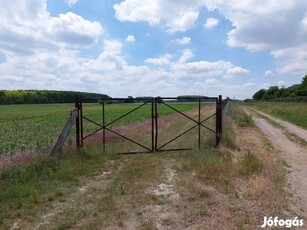 ELADÓ 11,38 ha SZÁNTÓ ALBERTIRSÁN!