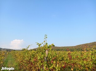 Eladó Mezőgazdasági, Dörgicse 65.000.000 Ft