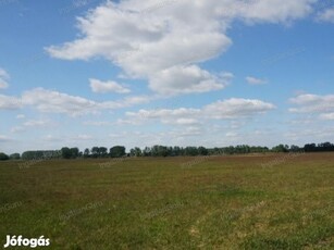 Eladó mezőgazdasági ingatlan Nagykőrös