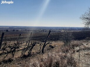 Eladó Mezőgazdasági, Szerencs 6.510.000 Ft