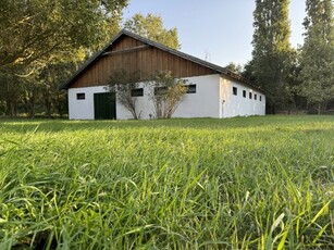 Eladó mezogazdasagi ingatlan Budakeszi