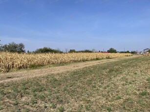 Eladó mezogazdasagi ingatlan Hajdúszoboszló