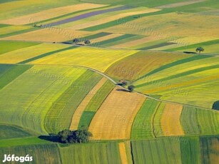 ELADÓ PILISEN 5.3533 Ha SZÁNTÓ 102.25 AK FÖLD.