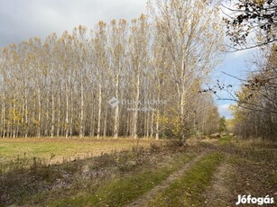 Eladó Telek, Dunavarsány