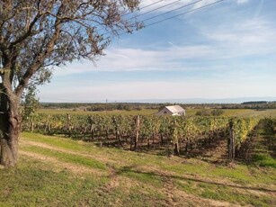 Eladó Telek, Veszprém megye Tagyon Zánka, Tagyon - Örök Panoráma - Természetvédelmi terület