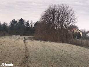 Kecskemét közelében erdő eladó!