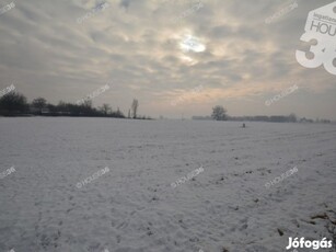 Kerekegyháza mellett 18,7 ha mezőgazdasági terület eladó