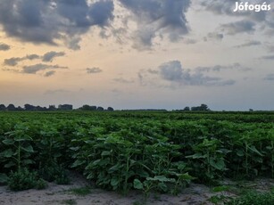 Kiskőrös( Kakantyú)Földterület szántó eladó