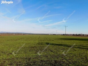 Kiváló helyen, 9770 m2 telek Mezőkövesden eladó