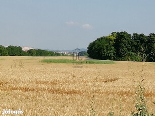 Környe ipari park 14,7 hektár ipari beruházására