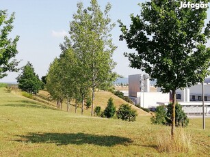 Környe ipari park közepén 17,5 hektáros terület eladó