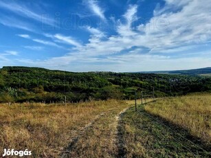 Kötcsén panorámás mezőgazdasági terület eladó!