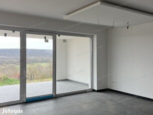 Modern, új építésű családi ház szép panorámával eladó !