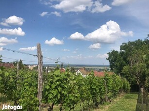 Szekszárd Kisbödő szőlő tanyával