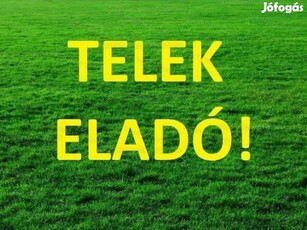 Tó utcán 2 db 2419 m2-es telek külön vagy egyben eladó!