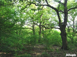 Zalacsány legszebb részén panorámás fejlesztési terület eladó!