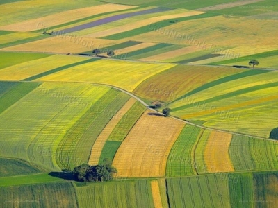 Város szélén, Lajosmizse, ingatlan, mezőgazd. ingatlan, 36.000.000 Ft