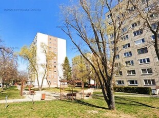 Eladó panellakásBudapest, XI. kerület, Kelenföld, Allende park