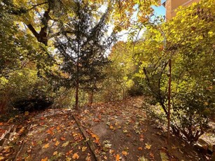 Eladó téglalakásBudapest, II. kerület, Rózsadomb, földszint