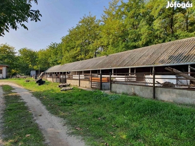 Albertirsa határában festői környezetben állattartásra alkalmas tanya