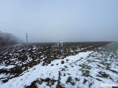 Eladó Mezőgazdasági, Szeged 30.000.000 Ft