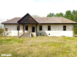 Eladó családi ház Csemőben hatalmas telekkel, pincével