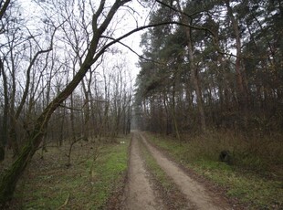 Eladó telek Debrecen