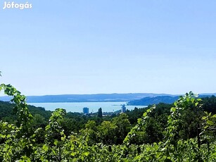 Nyaraló Balatonfüred tetején - Videó