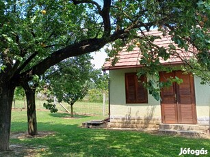 Zártkert fenyővel, szőlővel, présházzal