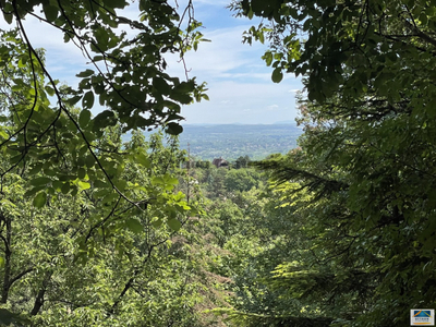 Eladó telek - Szentendre