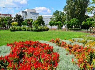 Eladó téglalakásBudapest, VIII. kerület, Józsefváros, Népszínház utca, földszint