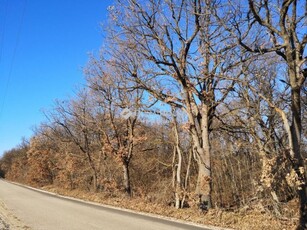 Eladó telek Balatonudvari